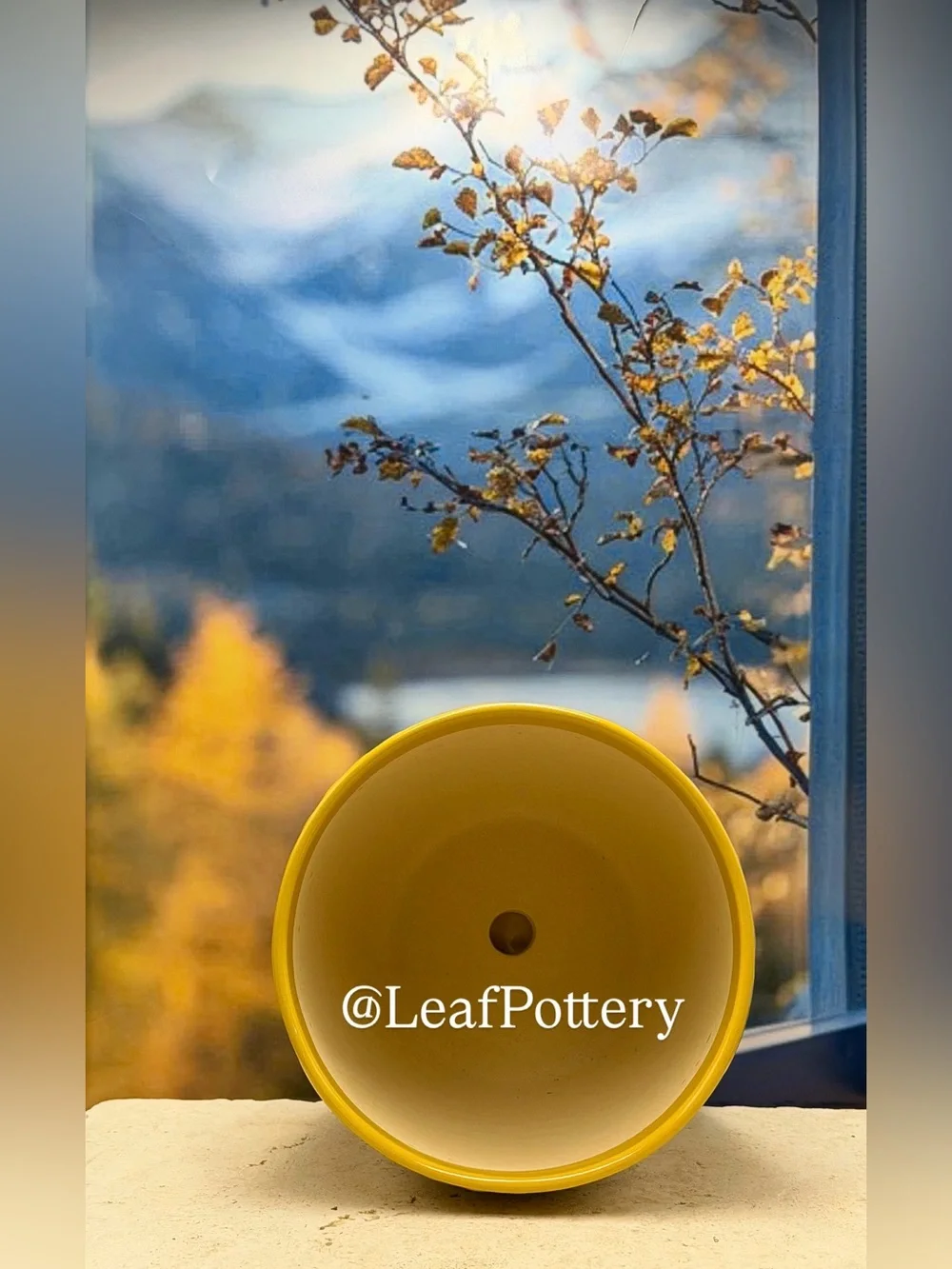 Yellow Floral Ceramic Planter Pot with Saucer Attached 8 Inch Flower Pot